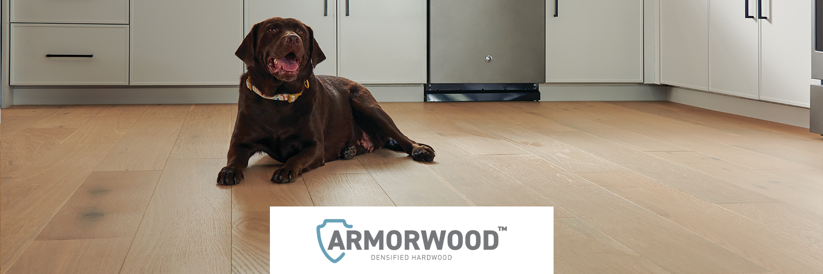 Dog lying on a kitchen floor showing ArmorWood dog-proof flooring